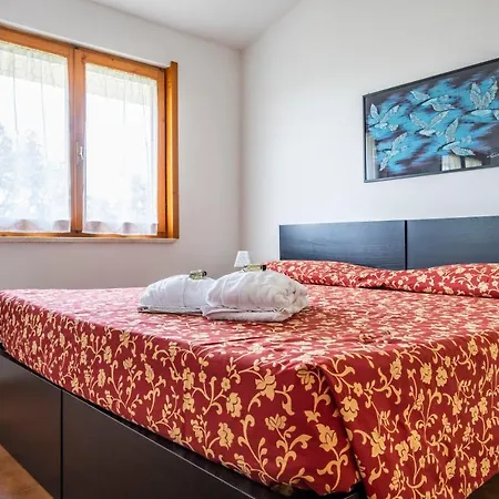 L&m - Pool - By Host4u * Muscoline